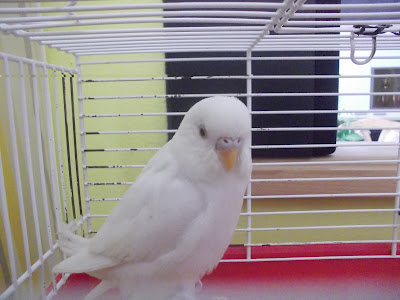 DSCN3997
